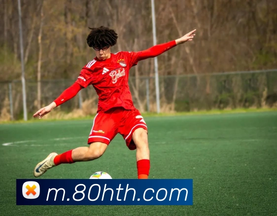 华体会APP 封面图